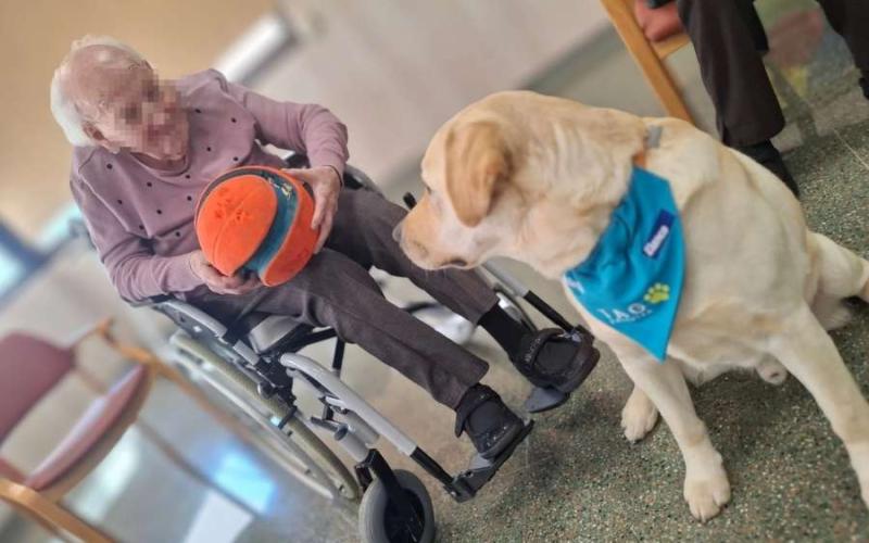 Les sessions es realitzen un cop a la setmana, identificant necessitats i objectius terapèutics. Les sessions es realitzen un cop a la setmana, identificant necessitats i objectius terapèutics.