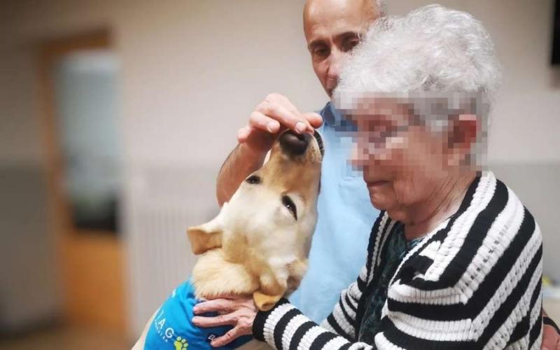 Les sessions es realitzen un cop a la setmana, identificant necessitats i objectius terapèutics. Les sessions es realitzen un cop a la setmana, identificant necessitats i objectius terapèutics.