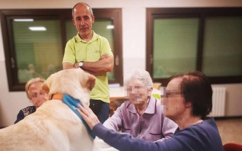 En persones amb demència, el gos esdevé sovint, en aquestes intervencions, la clau que obre un instant de presència: un contacte, un gest suau, un somriure inesperat. En persones amb demència, el gos esdevé sovint, en aquestes intervencions, la clau que obre un instant de presència: un contacte, un gest suau, un somriure inesperat.