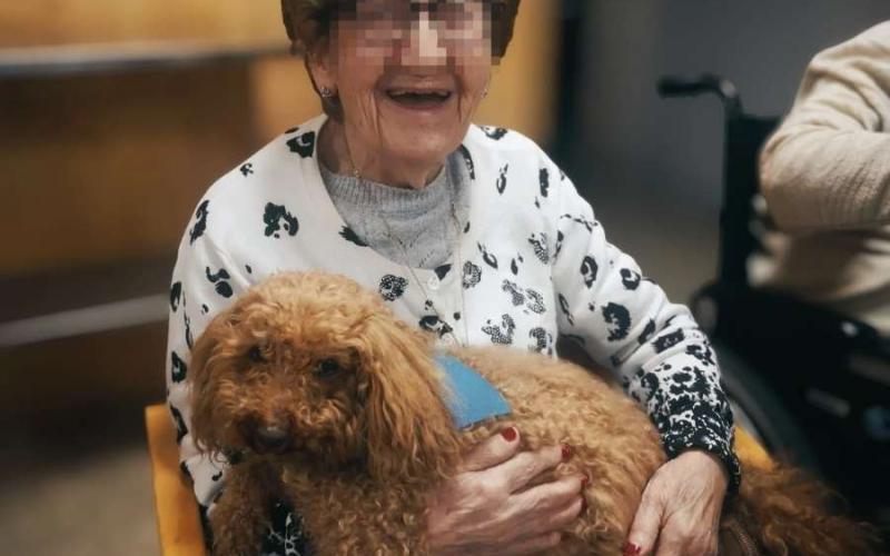 “El gos és un gran facilitador de les relacions humanes”, conclou Jordi Marín, qui assegura que, fins i tot després d’una dècada de feina, mai deixa de sorprendre’s. “El gos és un gran facilitador de les relacions humanes”, conclou Jordi Marín, qui assegura que, fins i tot després d’una dècada de feina, mai deixa de sorprendre’s.