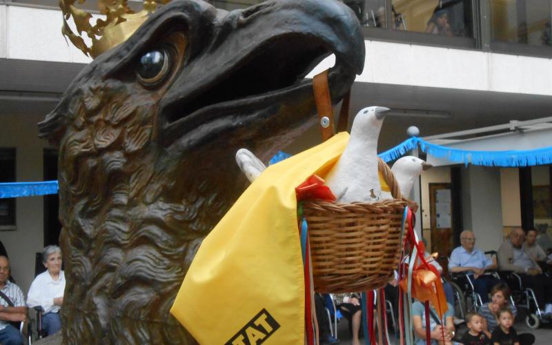 Àliga de les festes del barri de Sant Ferriol d'Olot