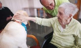 Una de les intervencions, en sessions que es realitzen un cop a la setmana, identificant necessitats i objectius terapèutics.